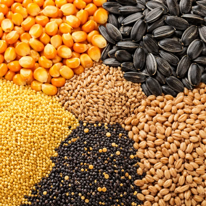 Modular grain dryers Detail 7